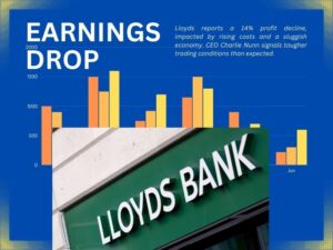 Lloyds' Earnings Drop 14%